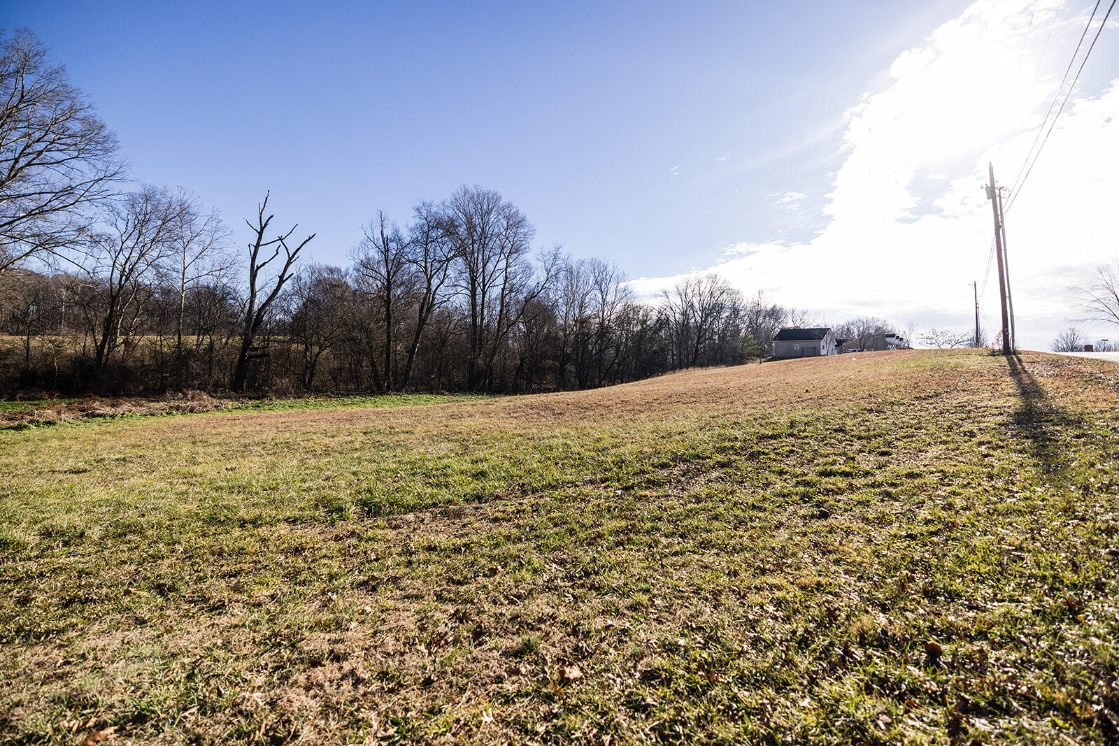 88 Shadow Oak Drive