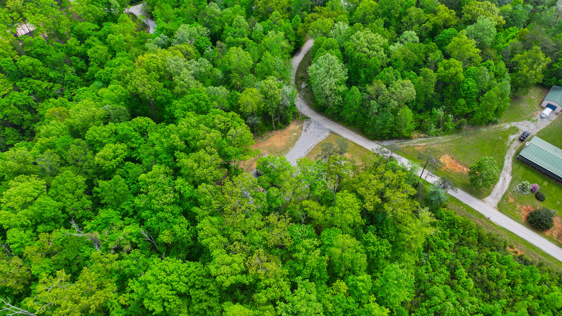 1455 Pine Tree Road