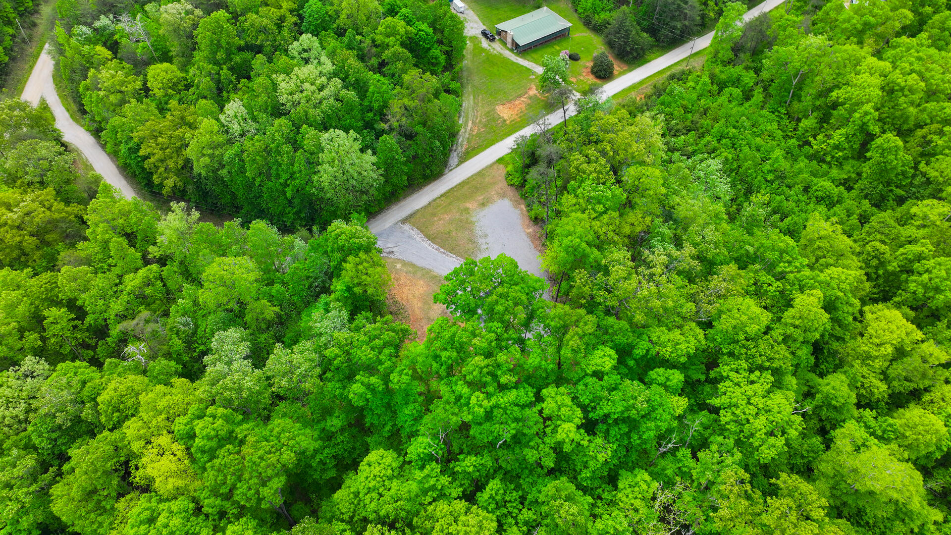 1455 Pine Tree Road