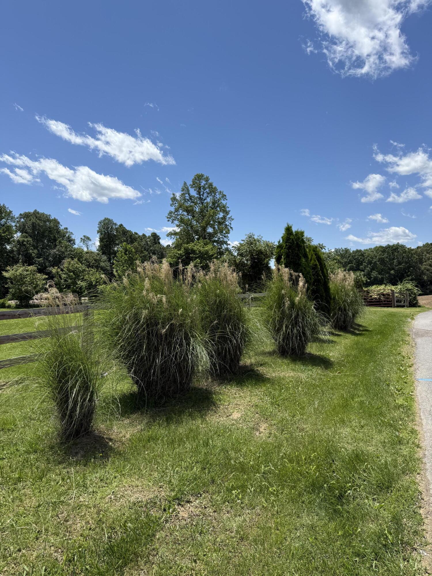 177 Briarpatch Road