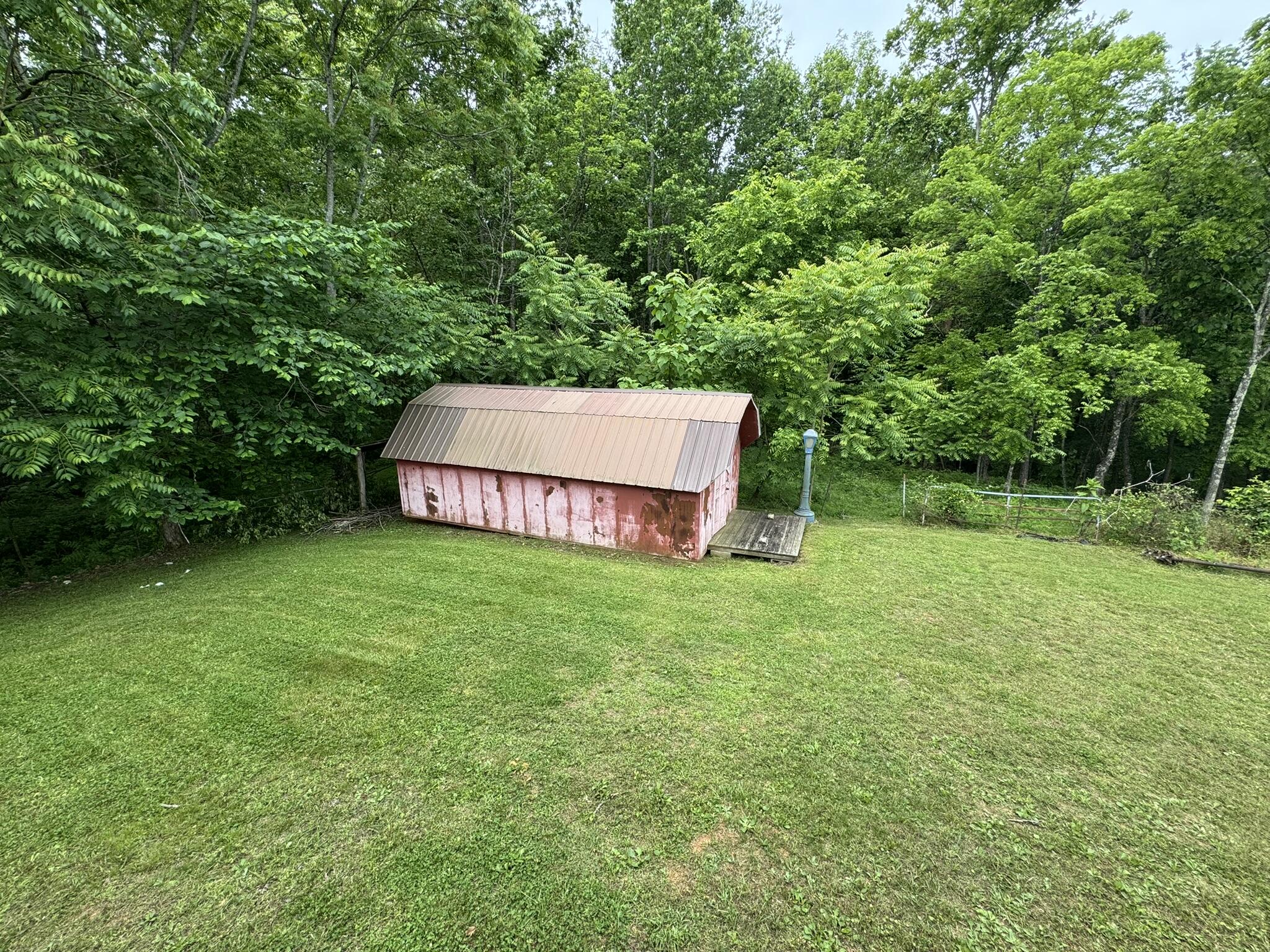12664 KY-196