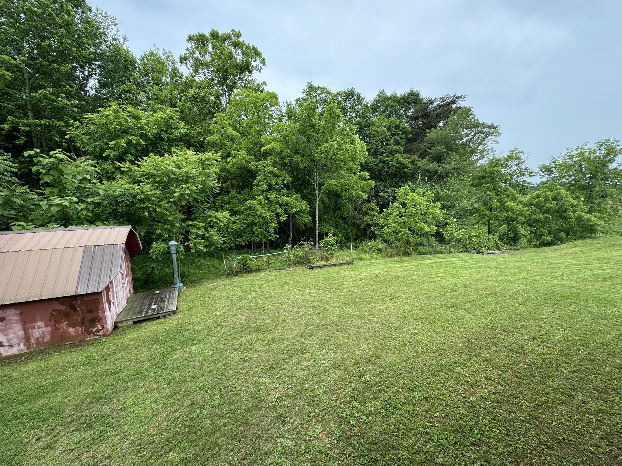 12664 KY-196
