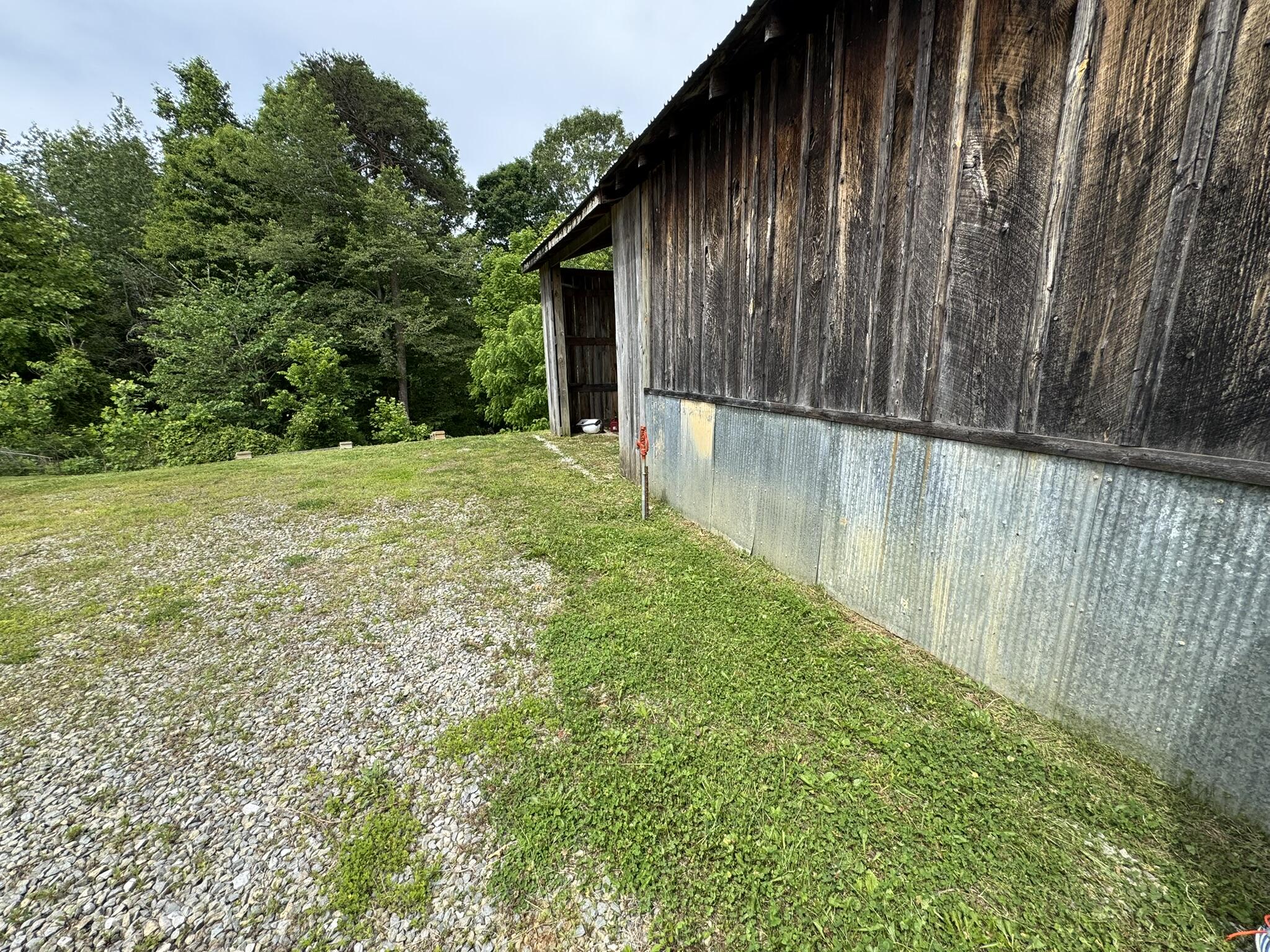 12664 KY-196