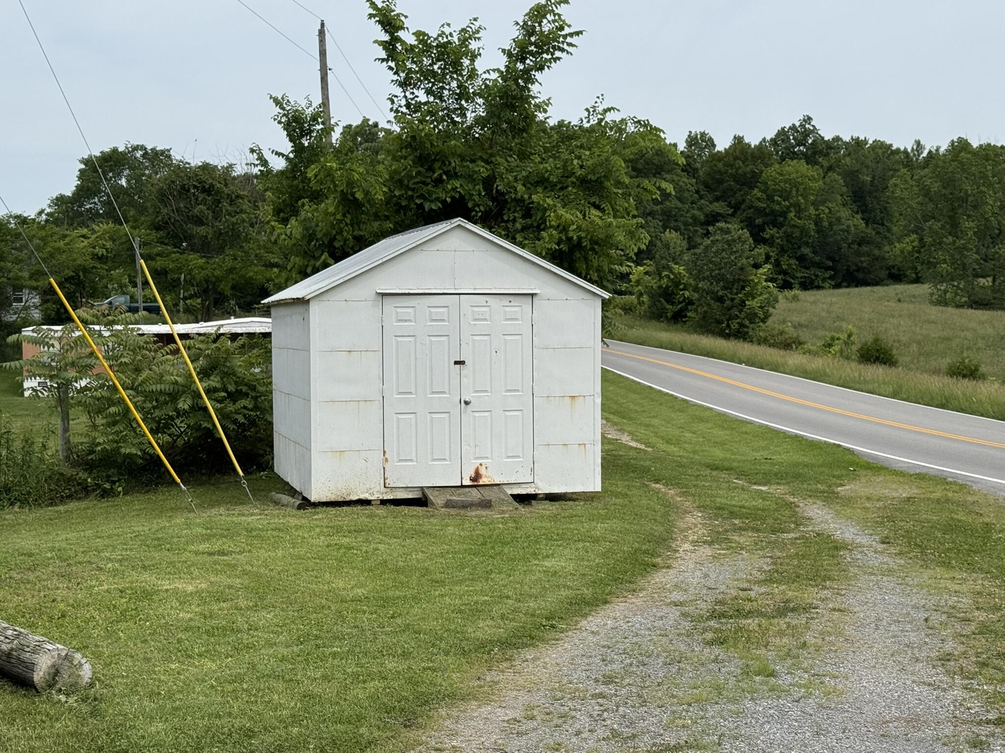 12664 KY-196