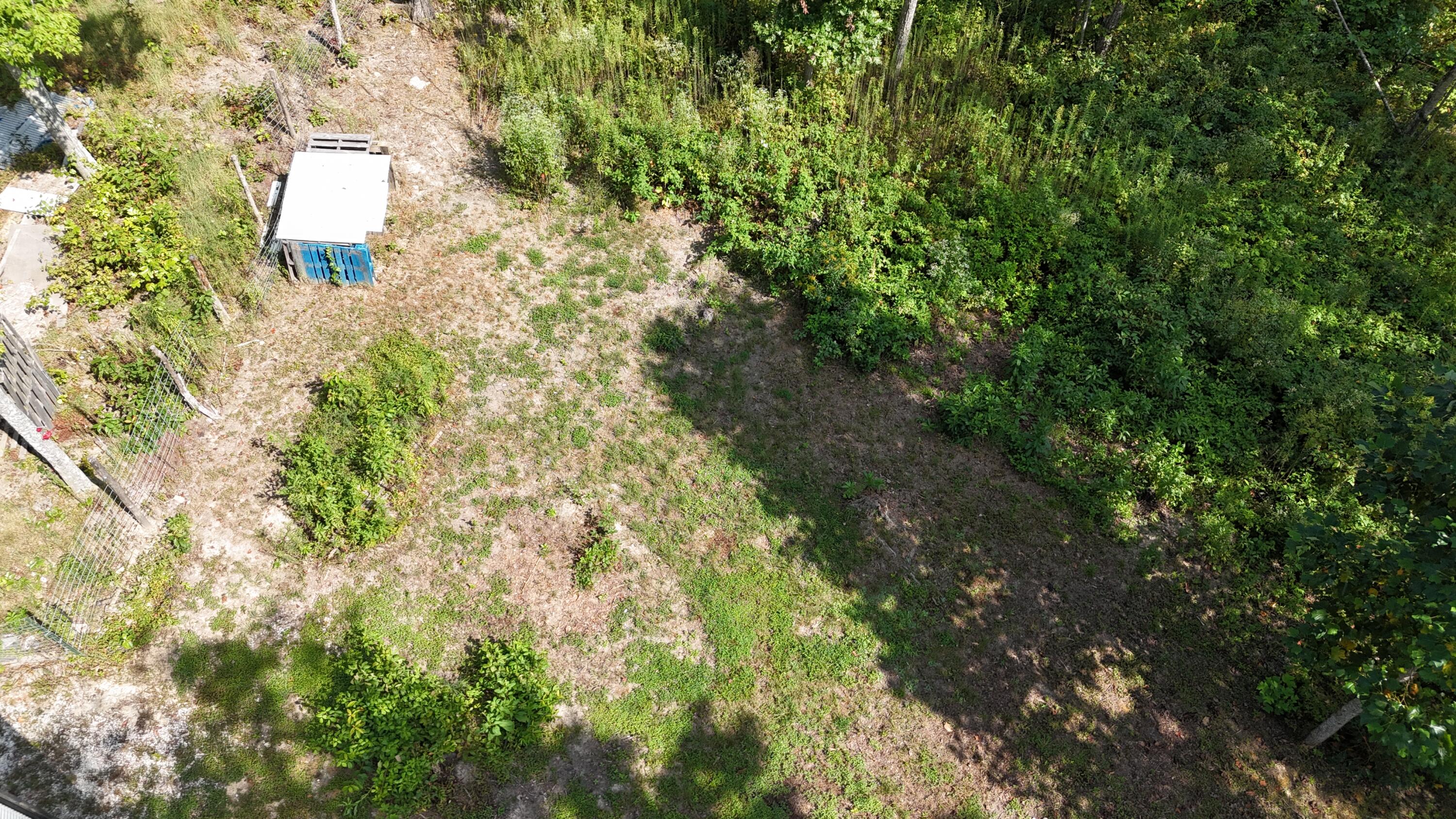517 Timber Branch Road