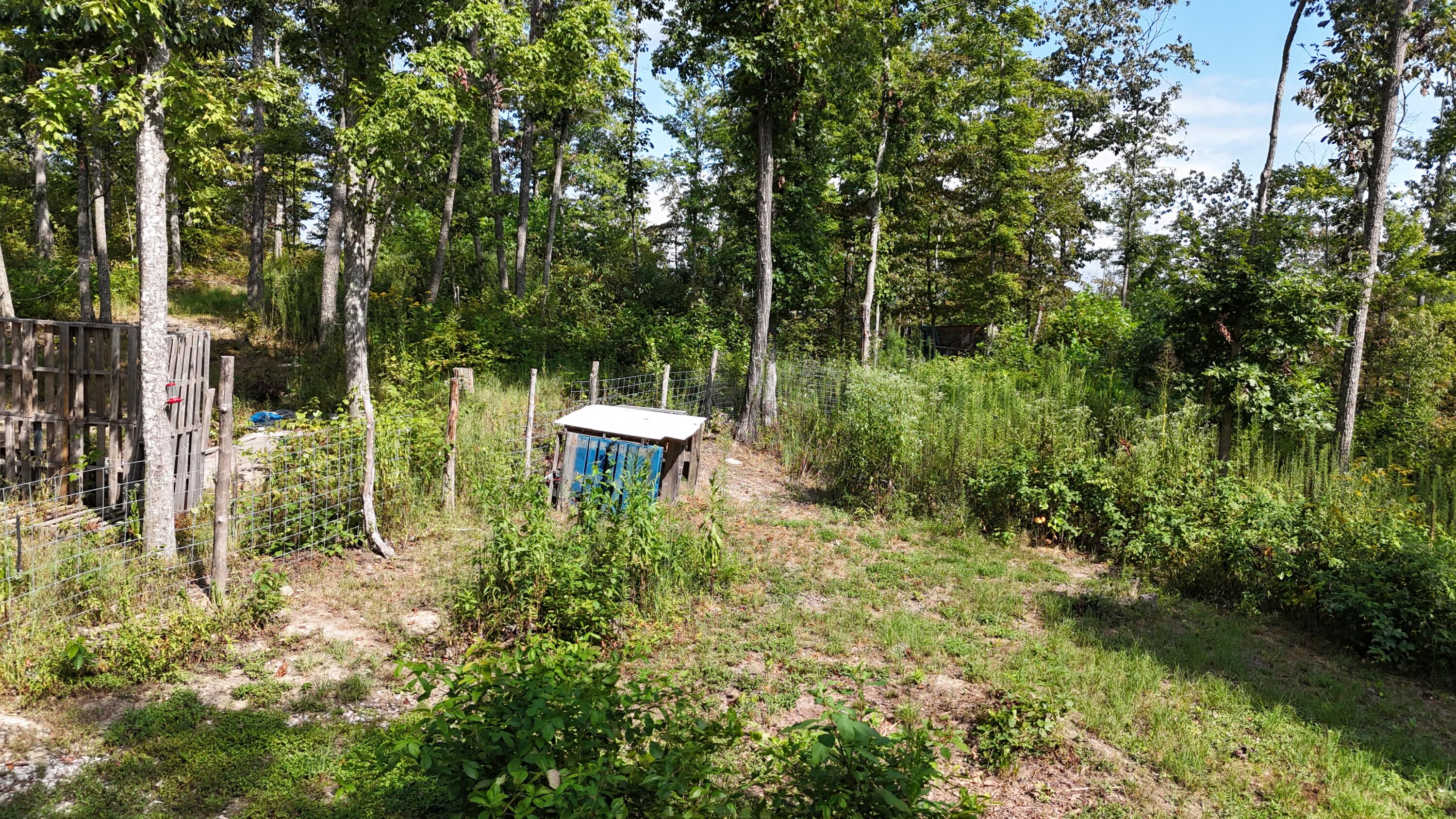 517 Timber Branch Road