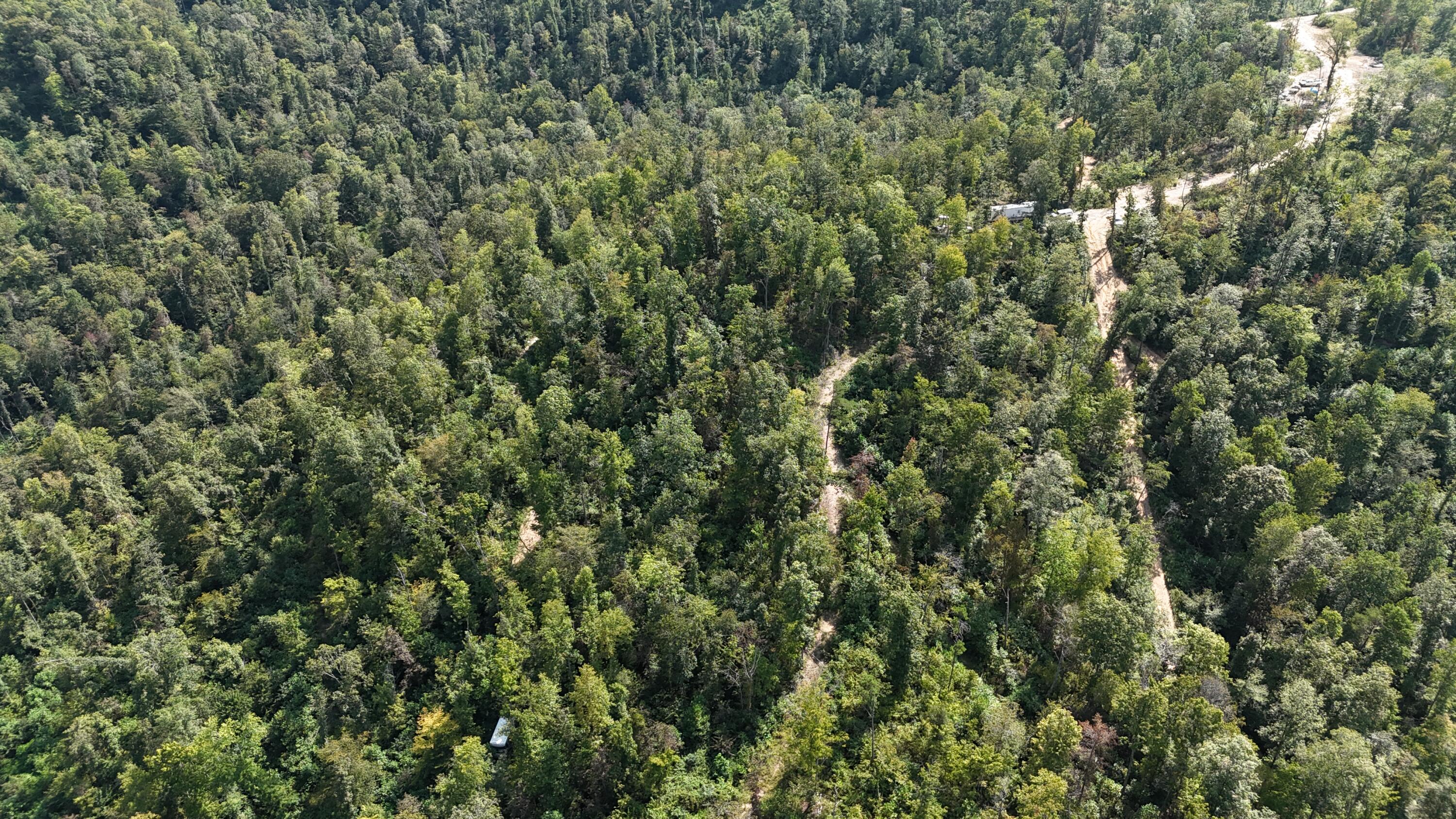 517 Timber Branch Road