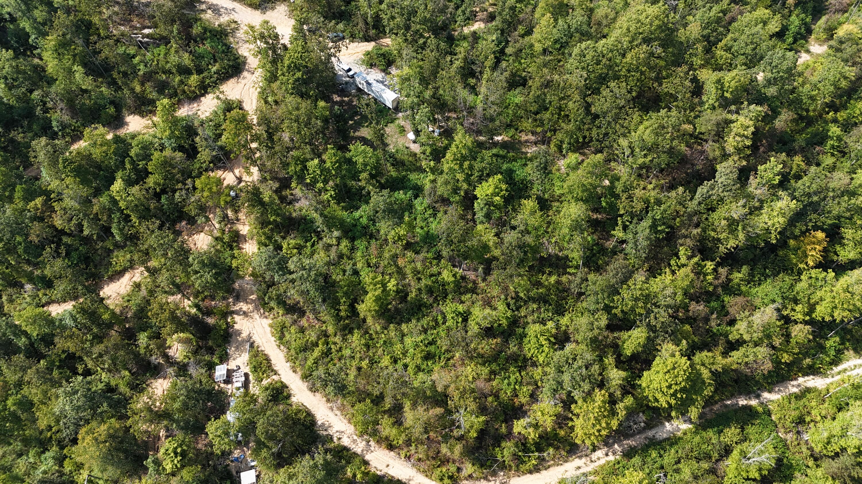 517 Timber Branch Road