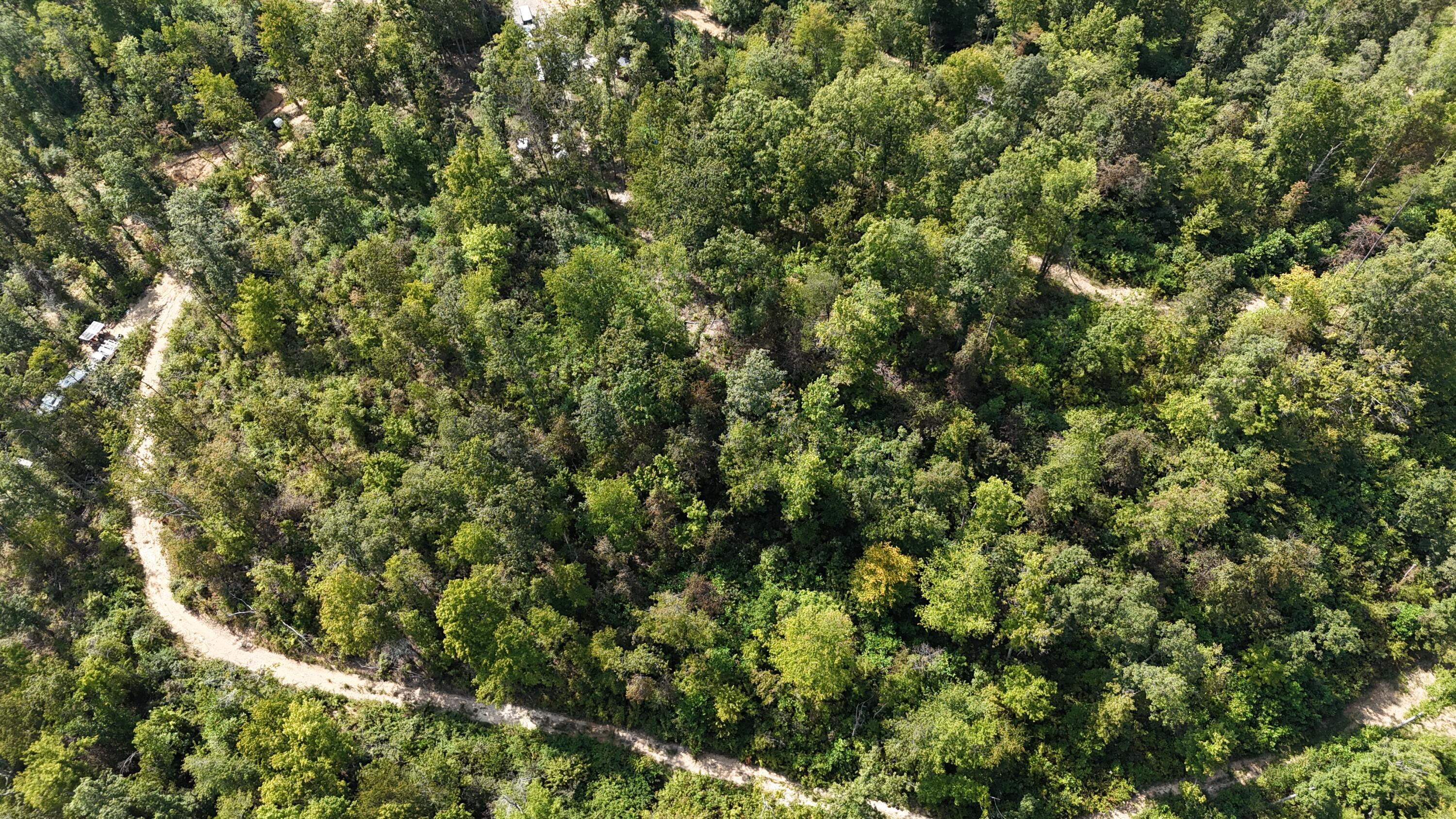 517 Timber Branch Road