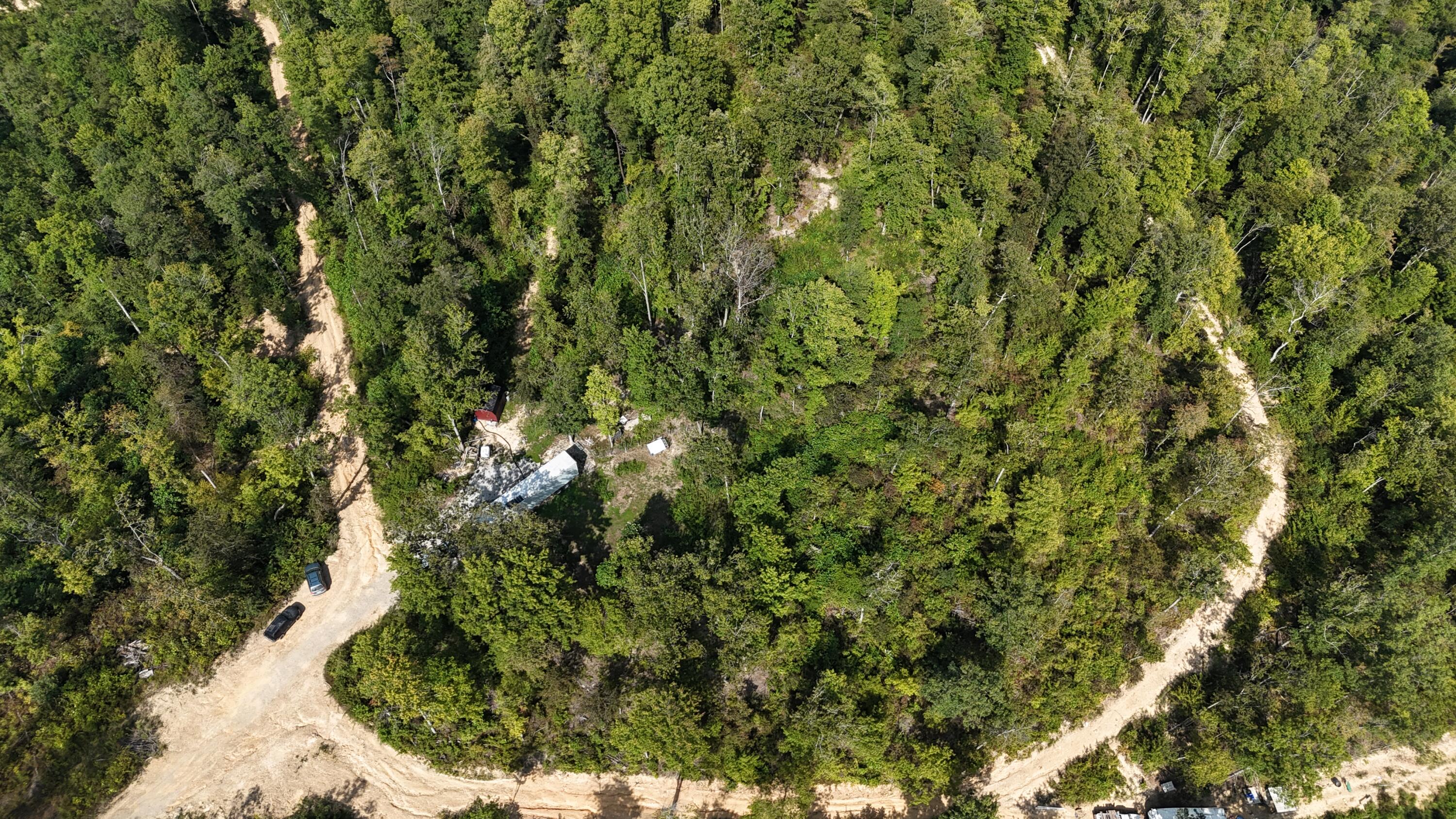 517 Timber Branch Road