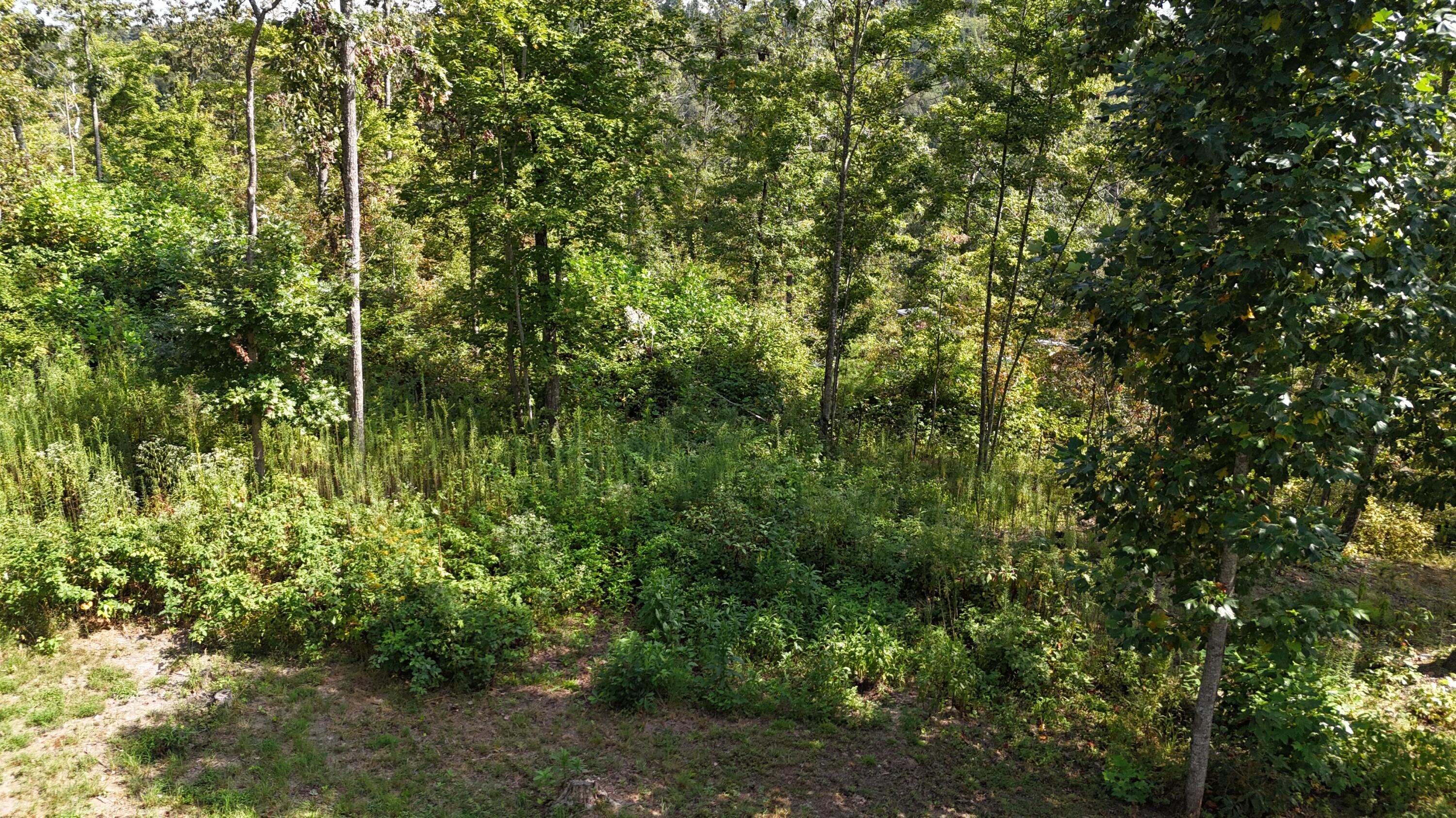 517 Timber Branch Road
