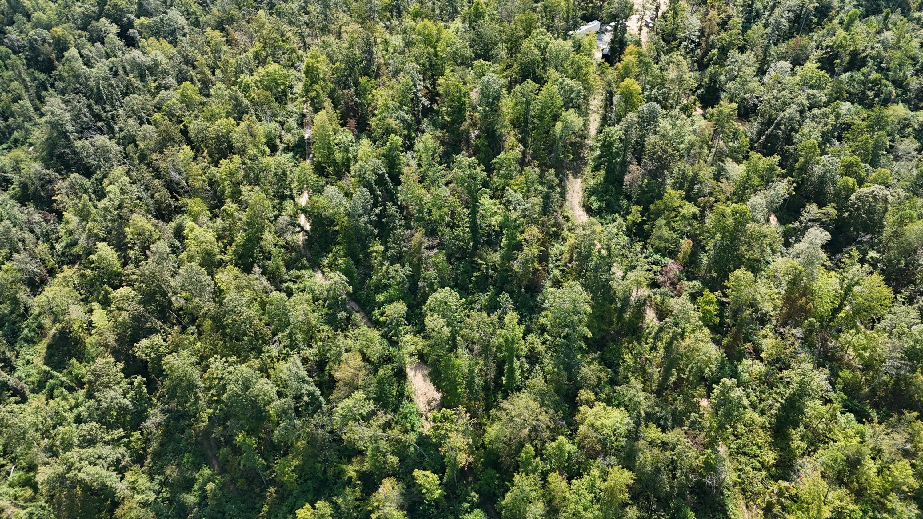 517 Timber Branch Road