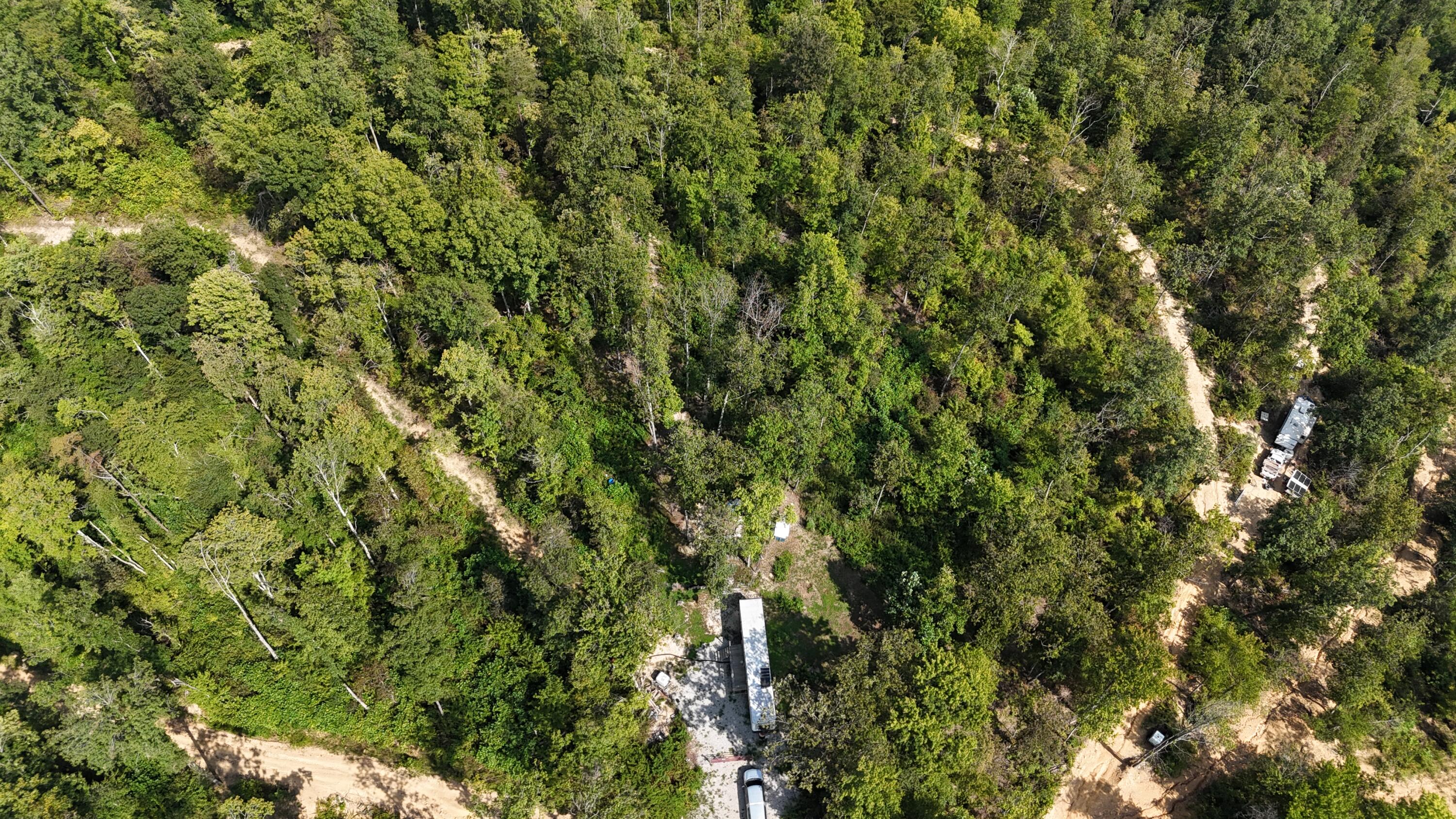 517 Timber Branch Road