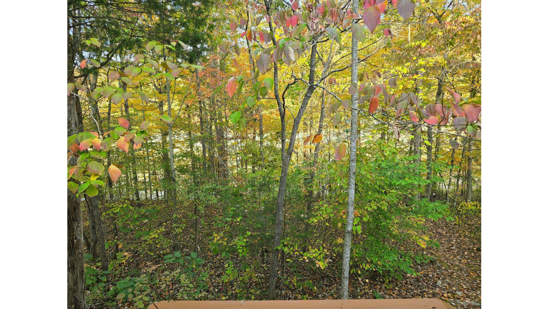 833 George Hardwick Road