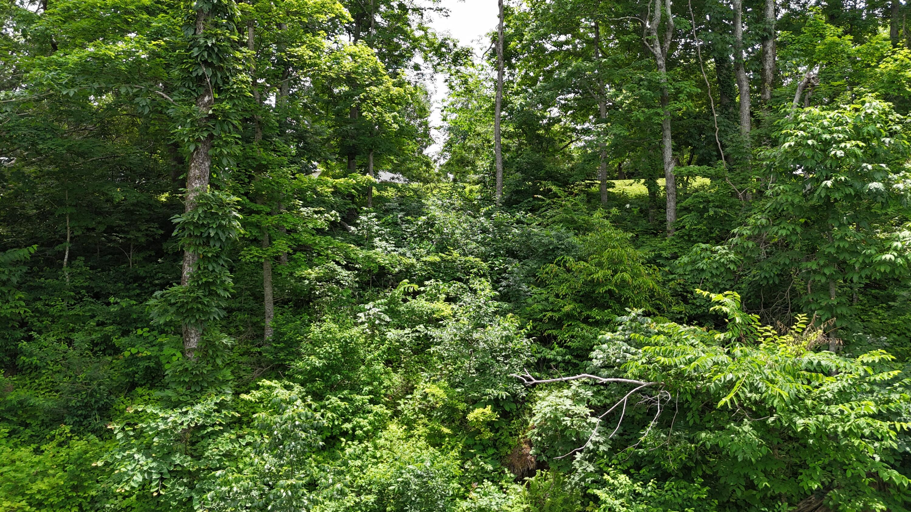 Lot 7 View Point Subdivision Point