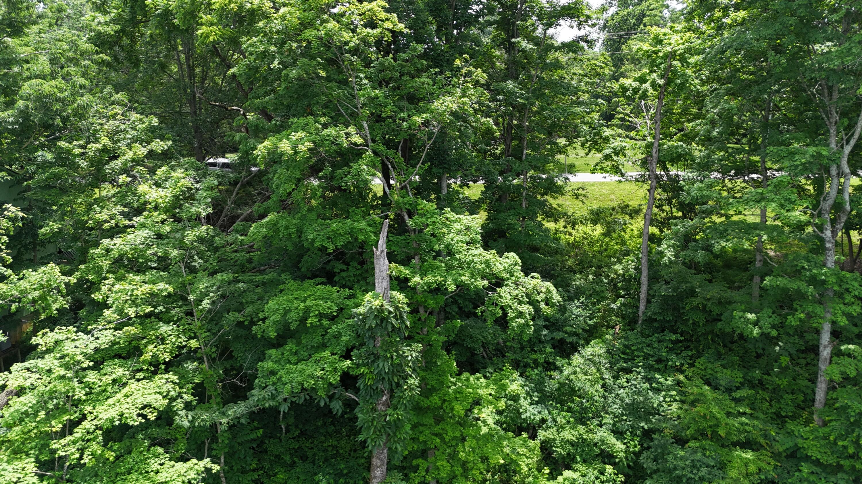 Lot 7 View Point Subdivision Point