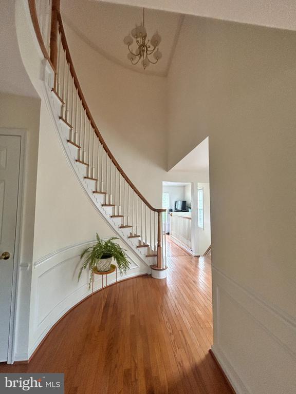2016 PIERIS COURT