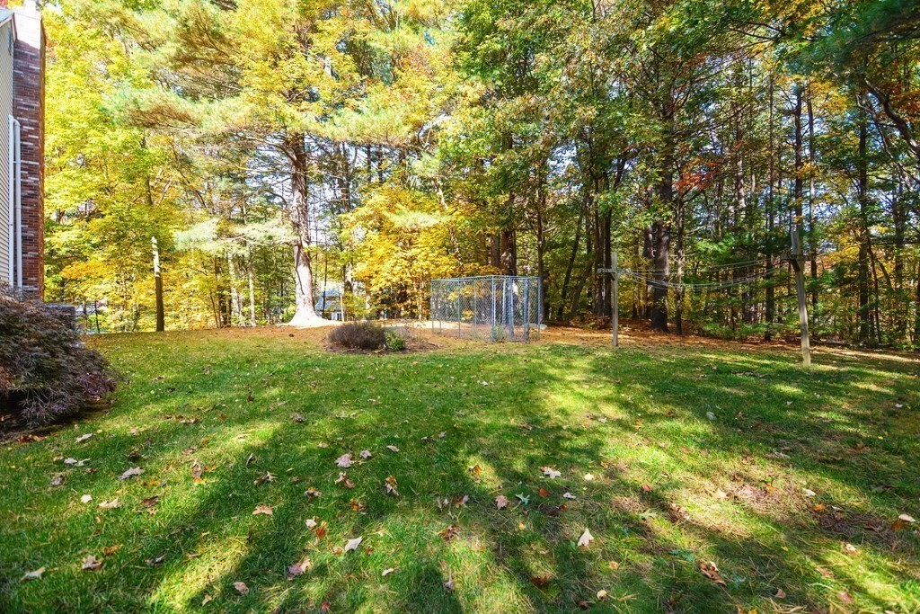 9 Juniper Ln