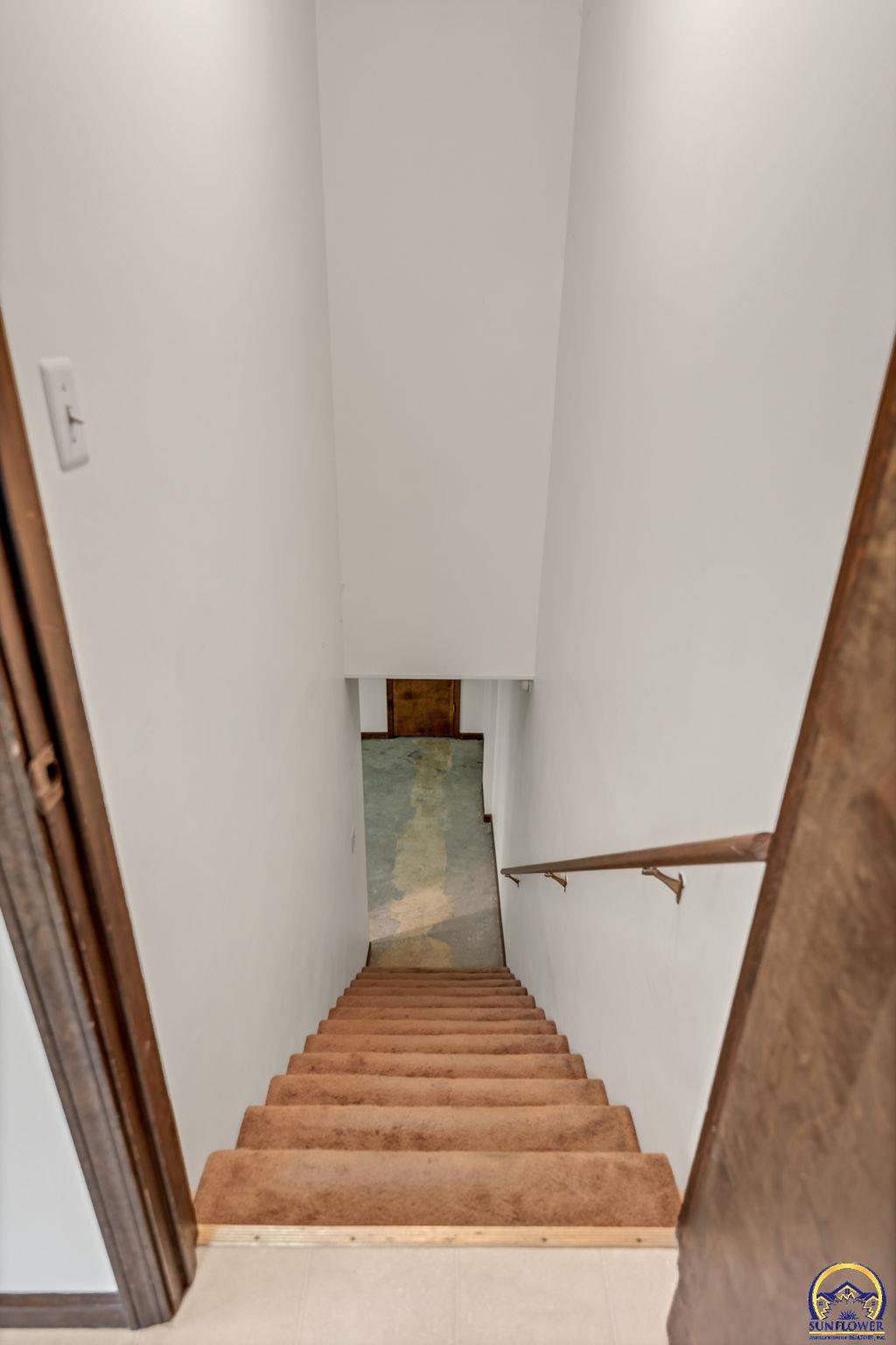 Carpeted staircase descends to a lower level, with a wooden handrail along the wall.