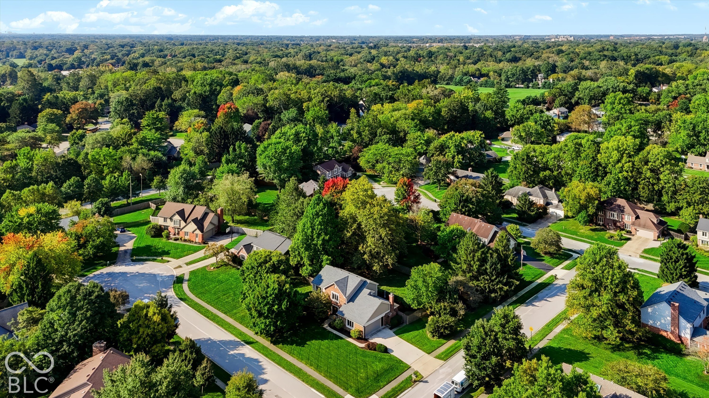 Aerial view of a leafy neighborhood with detached homes, green lawns, and winding streets.