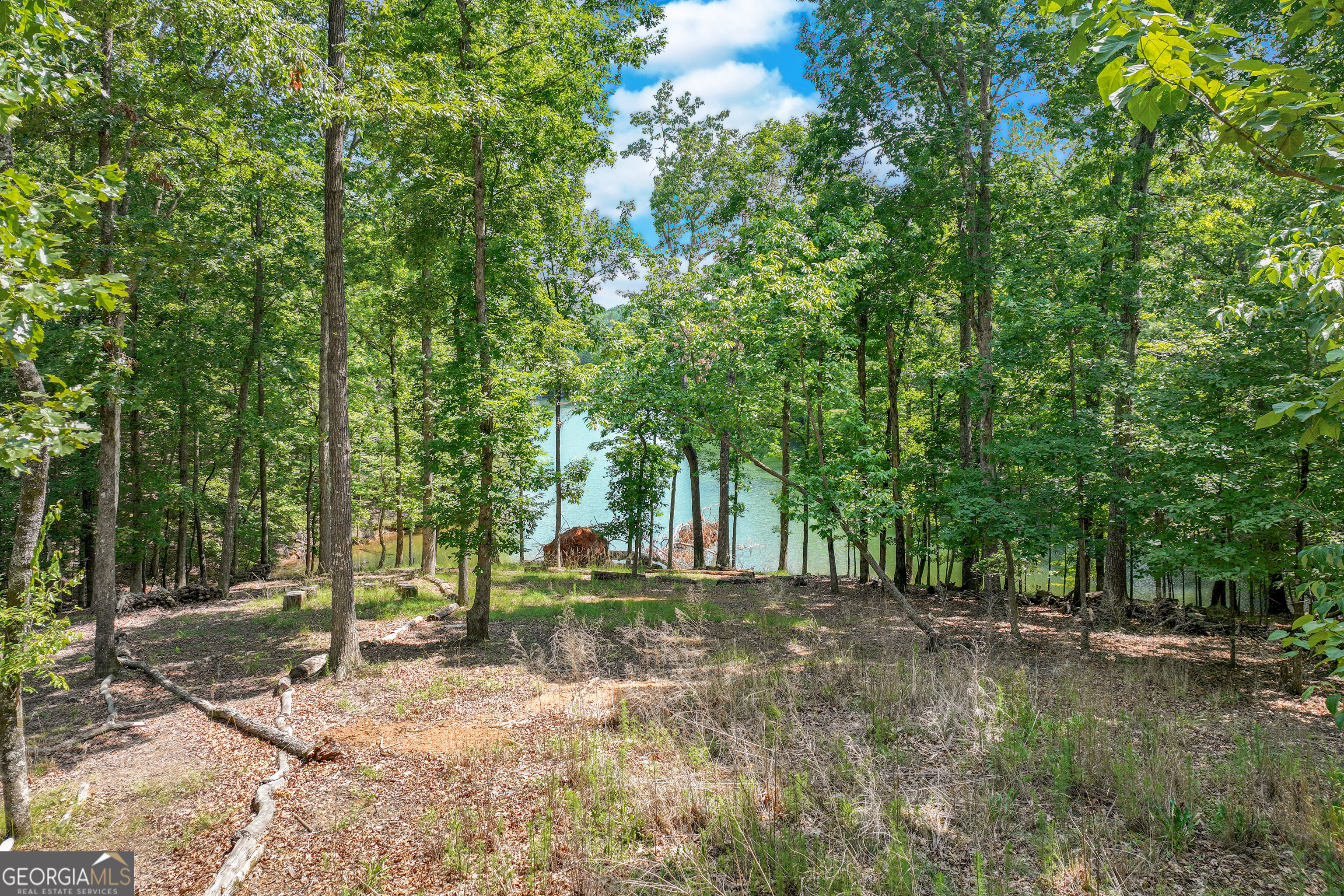 6226 Random Winds Bluff
