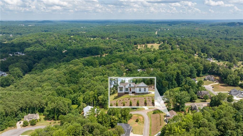 4405 Brush Creek Court