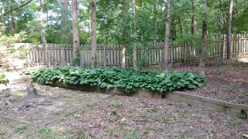 2119 Shay Court