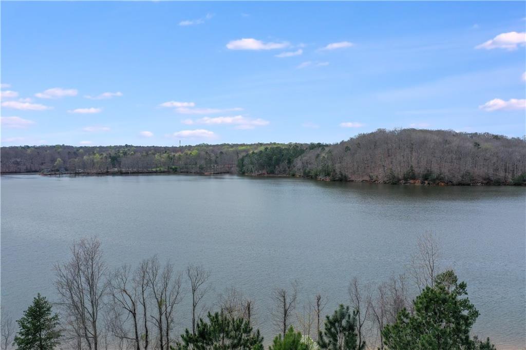 4596A Shirley Road, #8