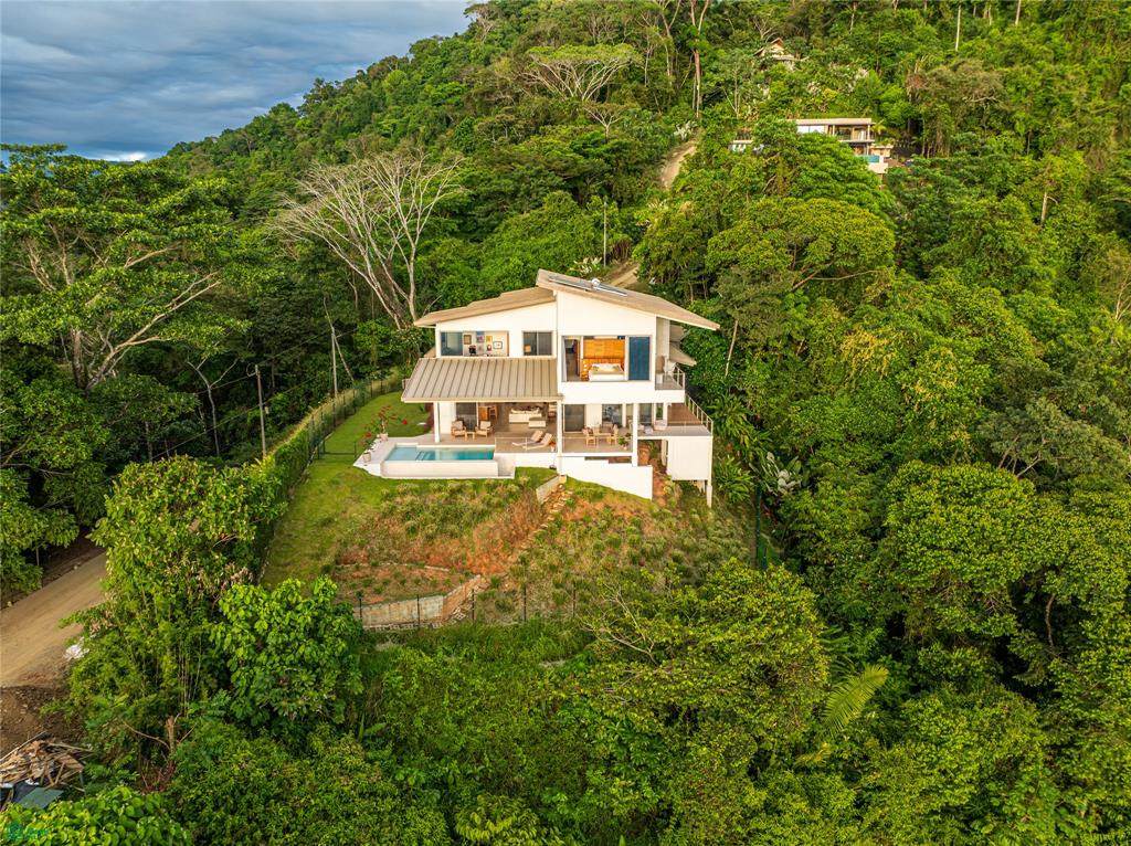 Dominical