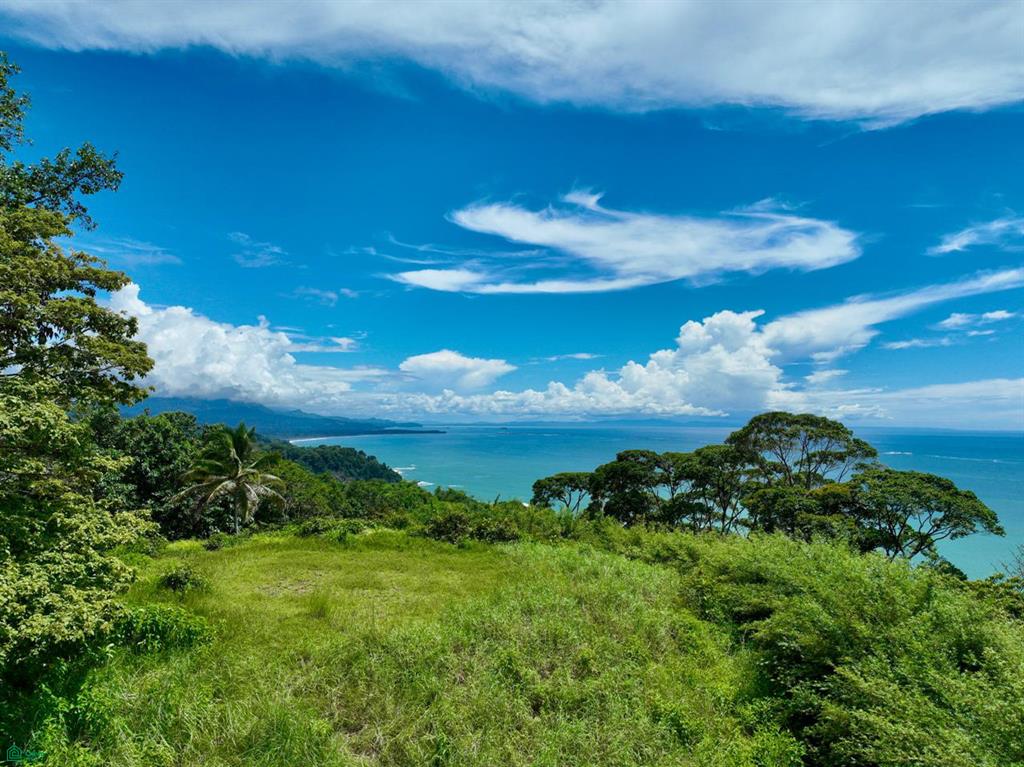 Whale’s Tail and Ocean View Lot 5.3-Acre