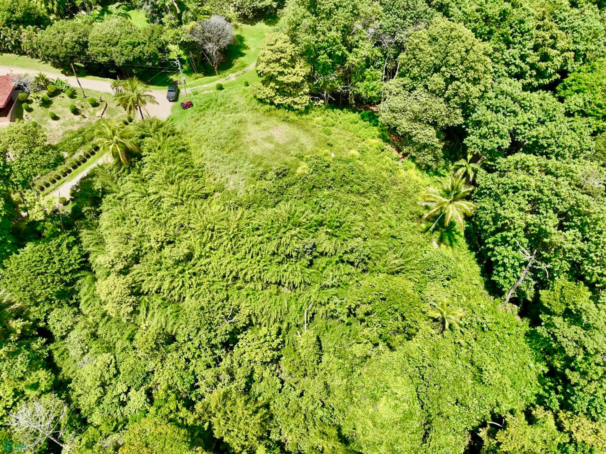 Whale’s Tail and Ocean View Lot 5.3-Acre
