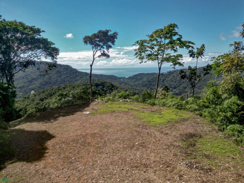 A Rare Thermal-Wellness Development Opportunity - Cacao Estates