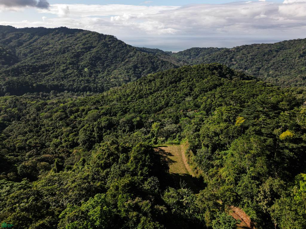 A Rare Thermal-Wellness Development Opportunity - Cacao Estates