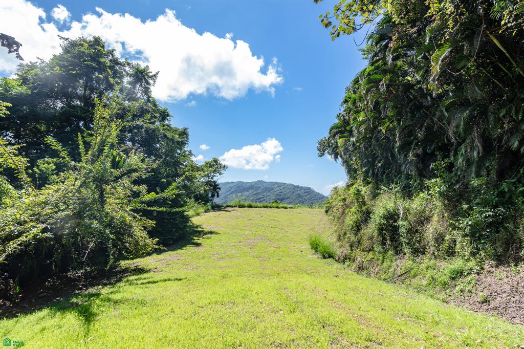 A Rare Thermal-Wellness Development Opportunity - Cacao Estates