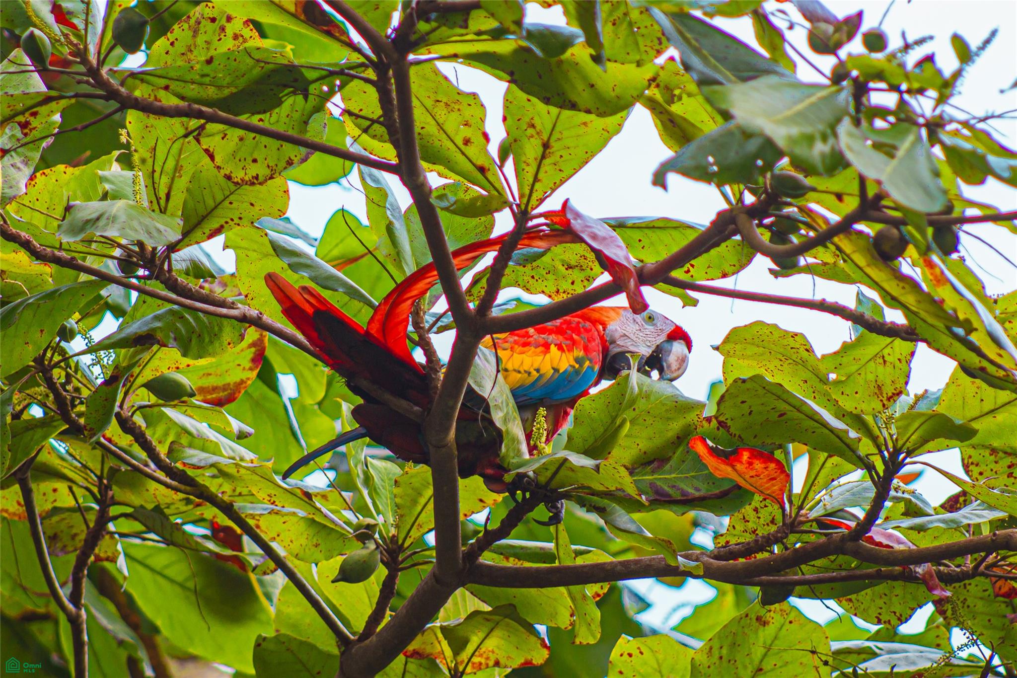 Nido Escondido Tropical Retreat