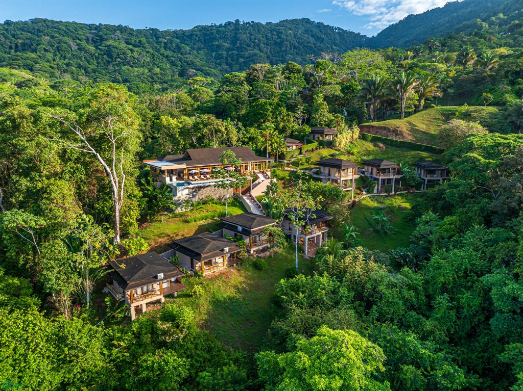 Uvita
