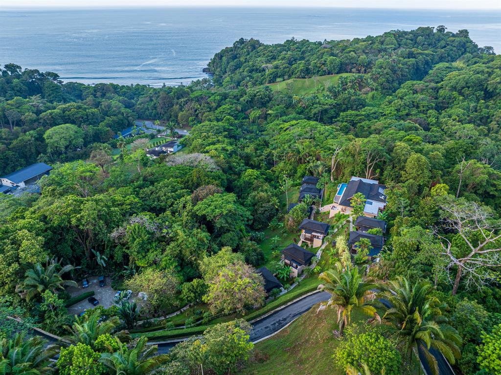 Uvita