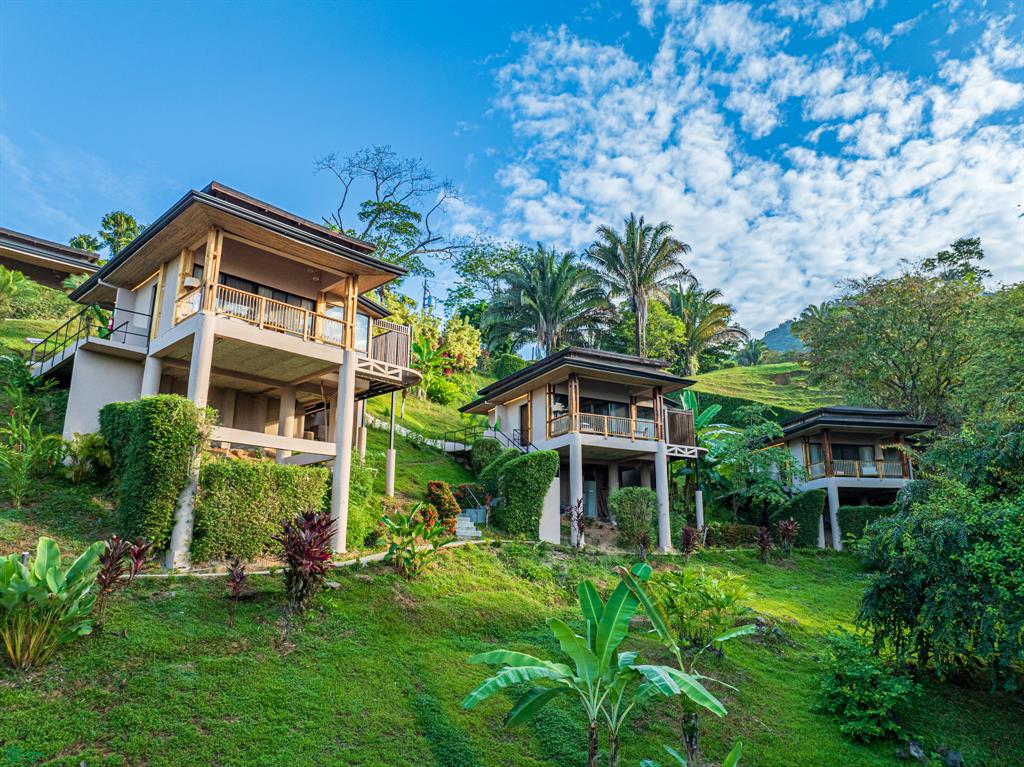 Uvita