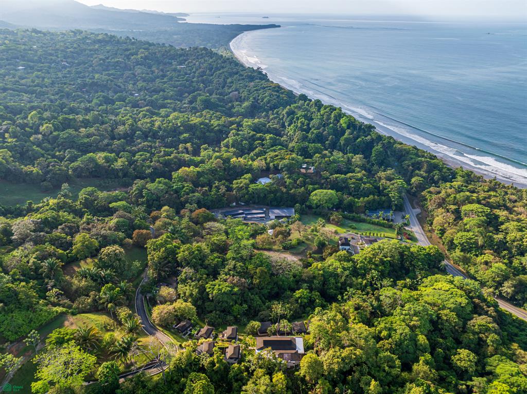 Uvita
