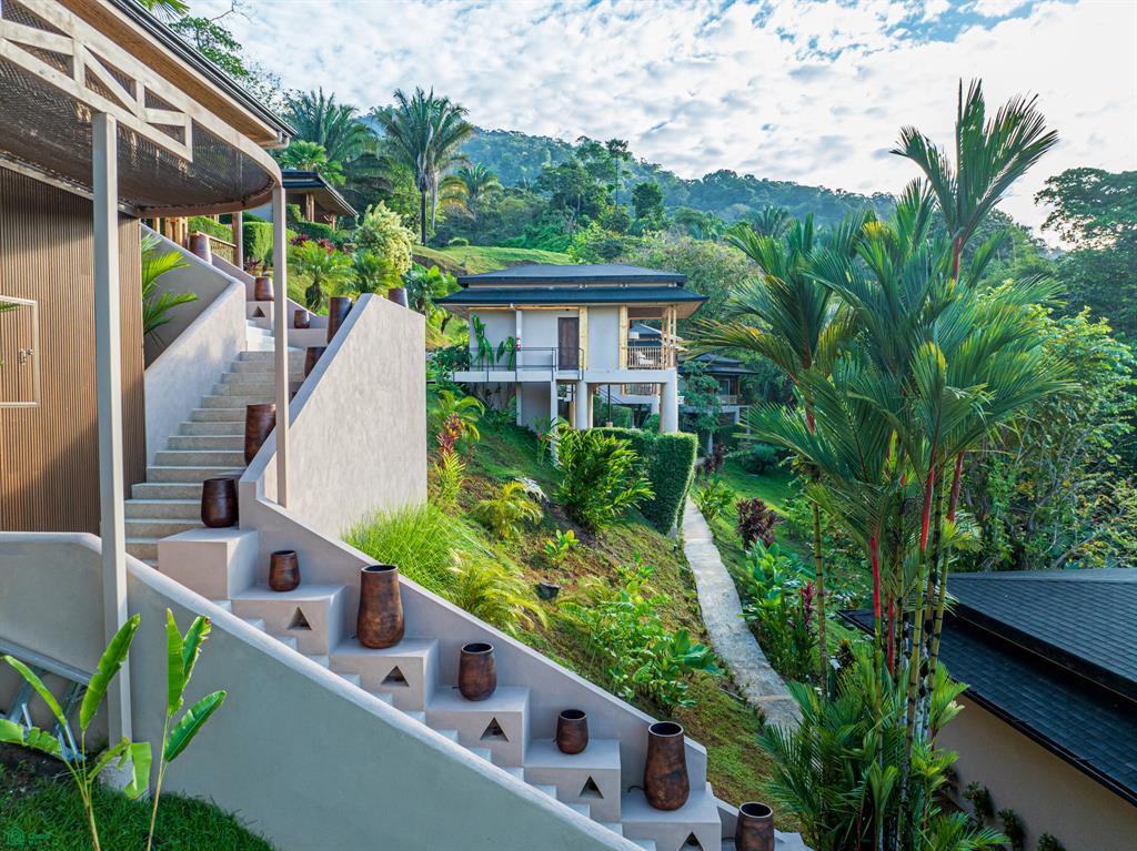 Uvita