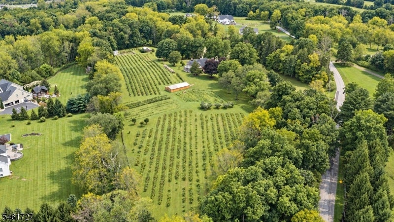 Aerial view of orchard rows across a green property bordered by woods and a curving road.