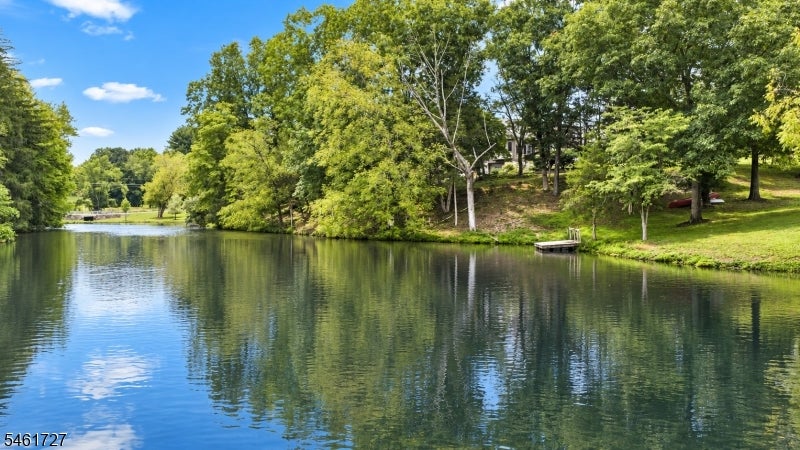 Pond bordered by leafy trees, with a small dock and a house partly visible beyond the shore.