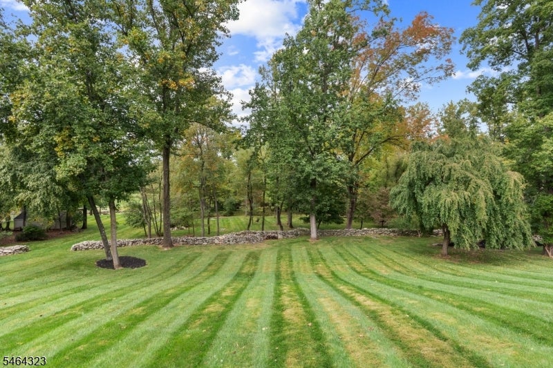 Landscaped backyard with a striped lawn, mature trees, and a low stone wall.