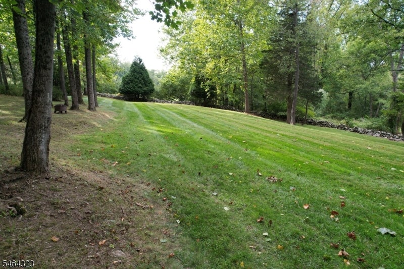 Wooded backyard with a broad lawn and low stone boundary wall.