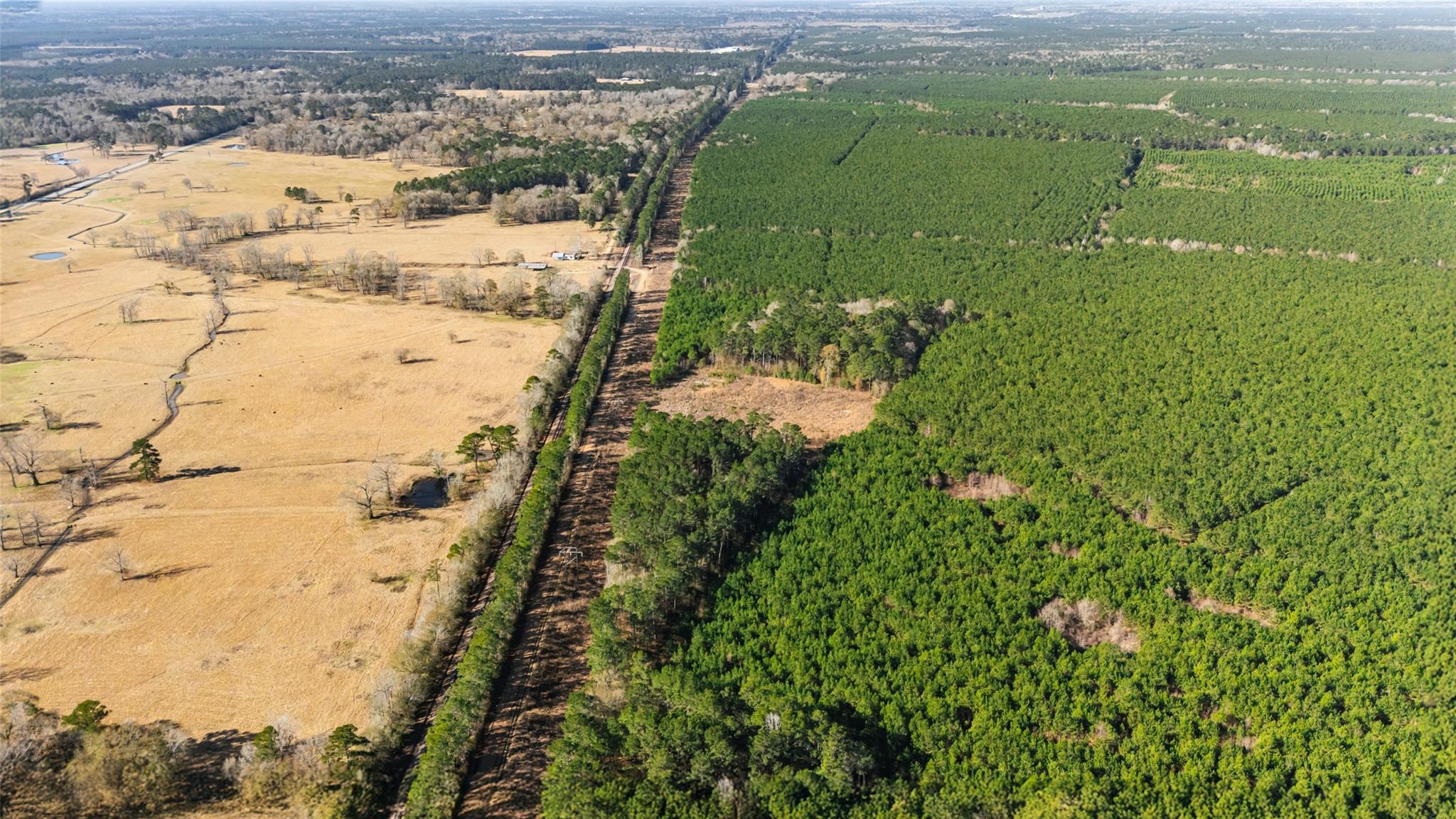 1495 County Road 2200