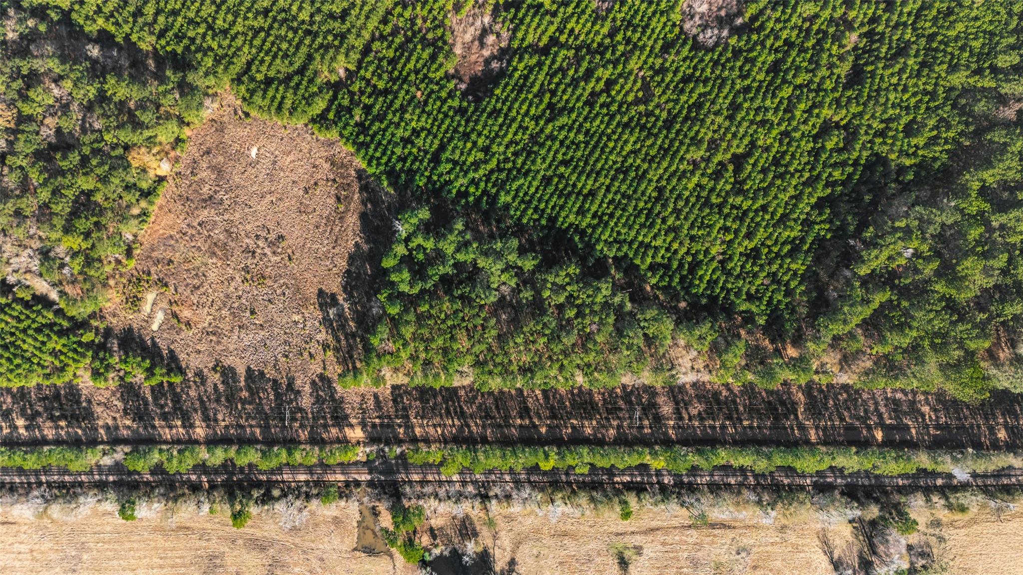 1495 County Road 2200