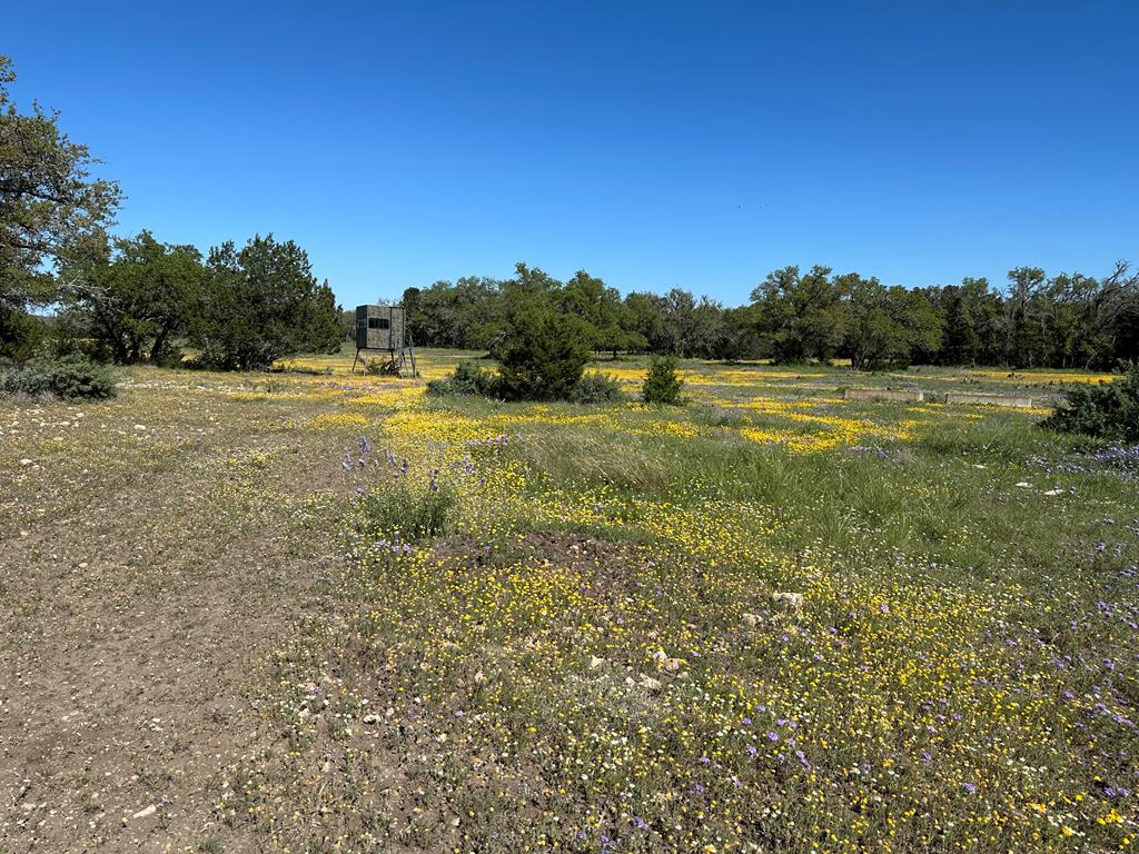 215 70L Rd