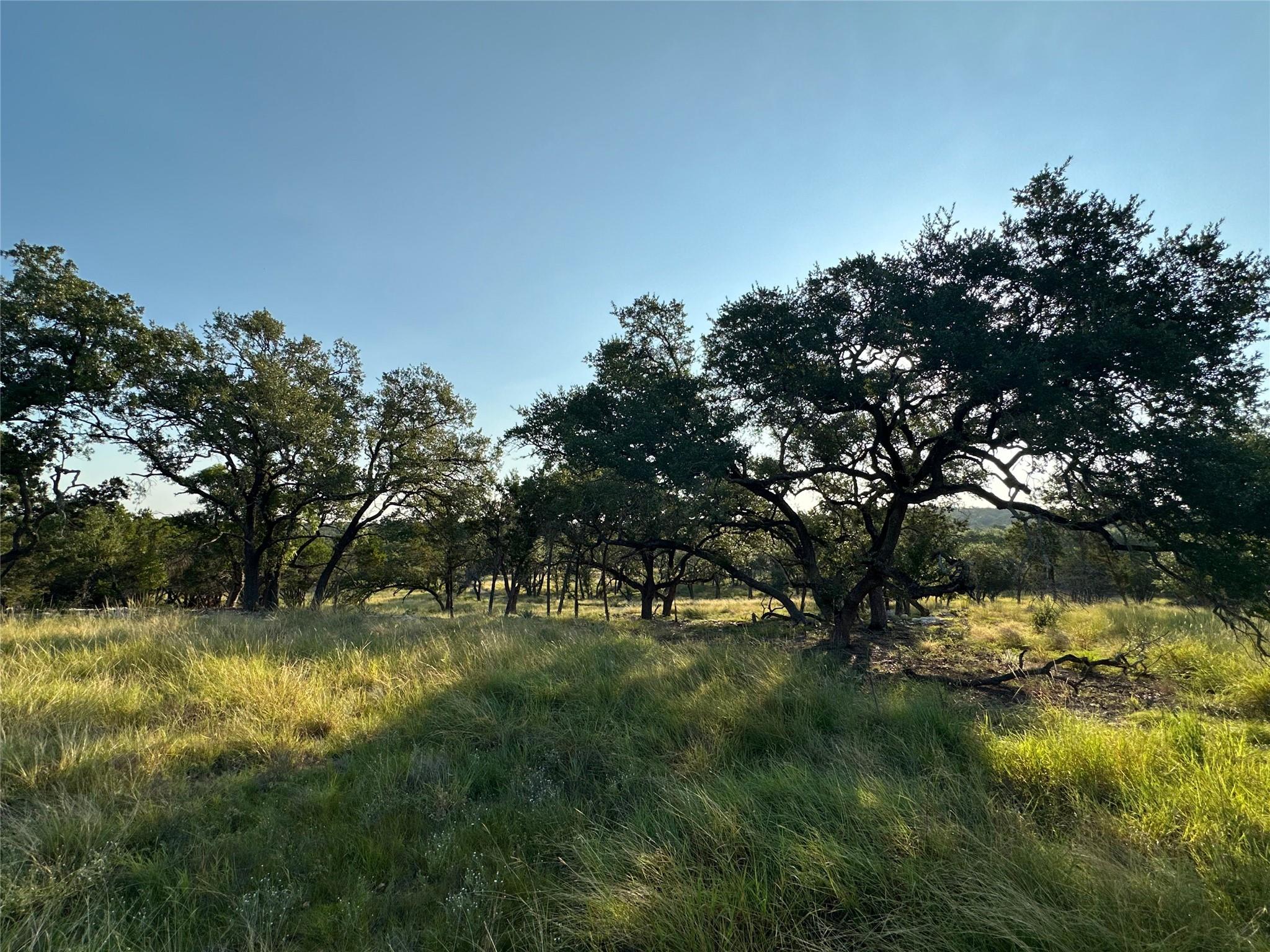 7819 Ranch to Market Road 2766 RNCH