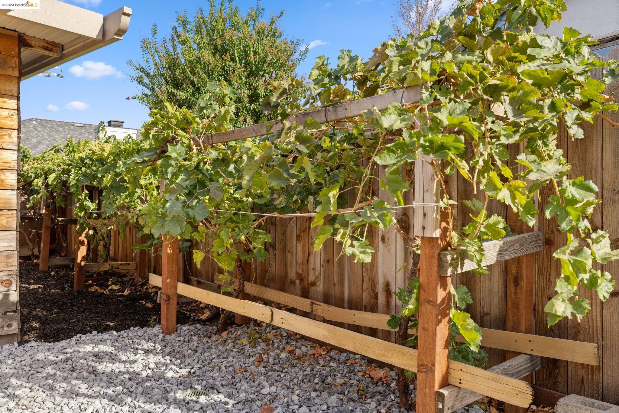 8305 Story Ridge Way