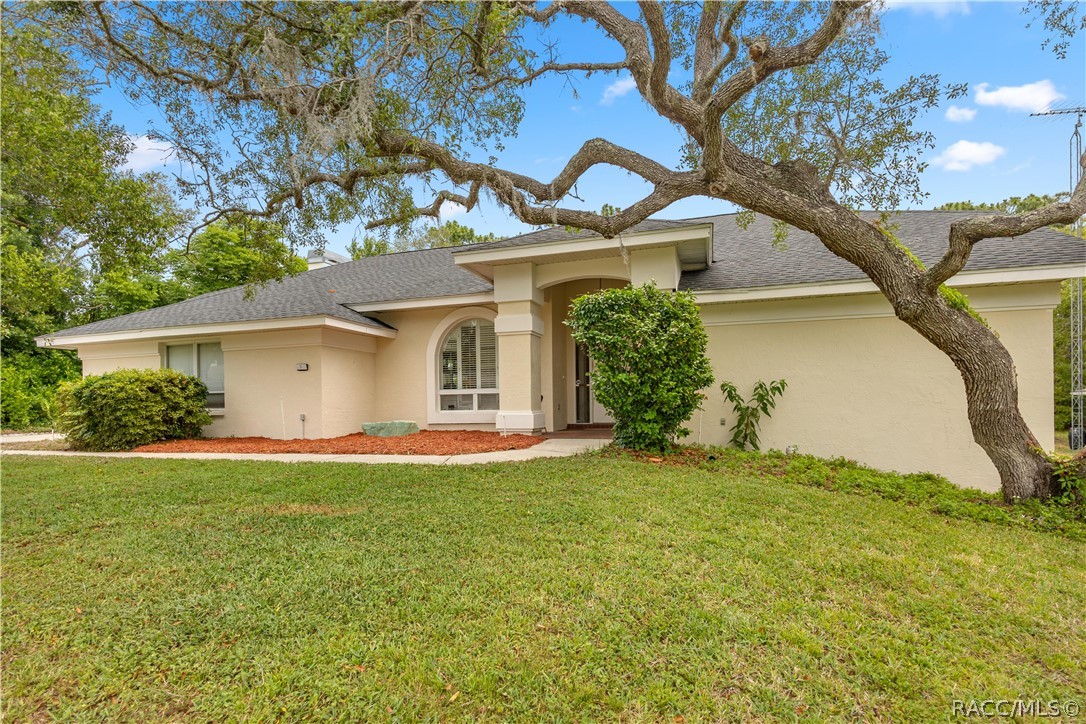 Beige stucco home with an arched entry window beneath a sprawling oak tree.